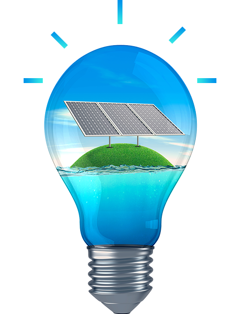 bulb_image